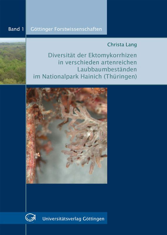 Diversität der Ektomykorrhizen in verschieden artenreichen Laubbaumbeständen im Nationalpark Hainich (Thüringen)