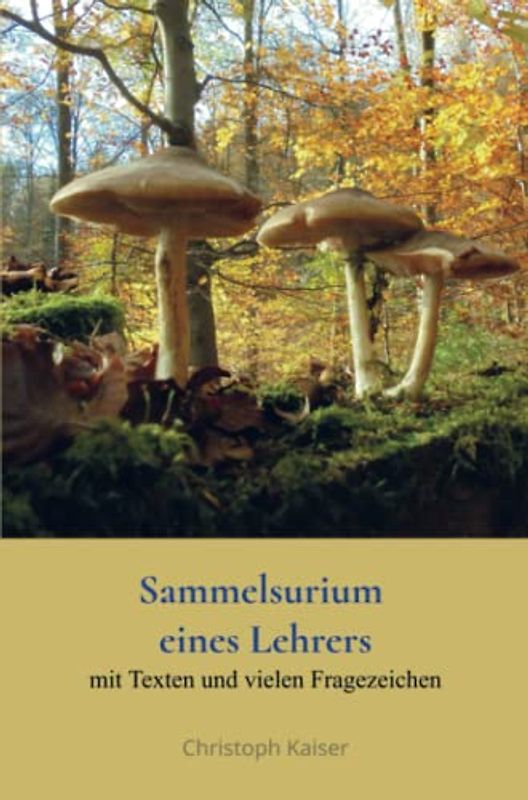 Sammelsurium eines Lehrers: mit Texten und vielen Fragenzeichen