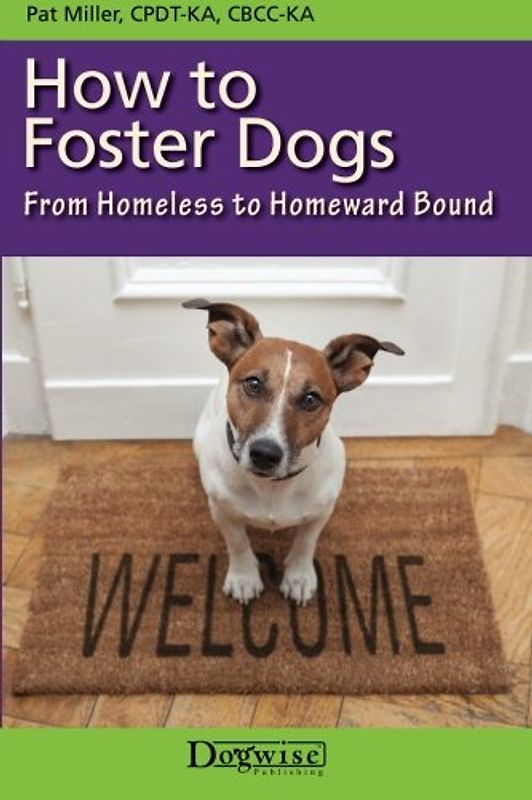 How to Foster Dogs
