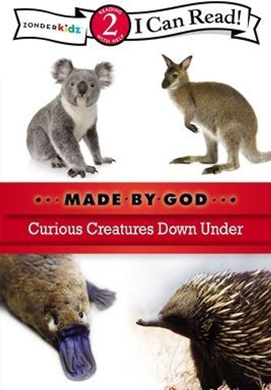 Curious Creatures Down Under