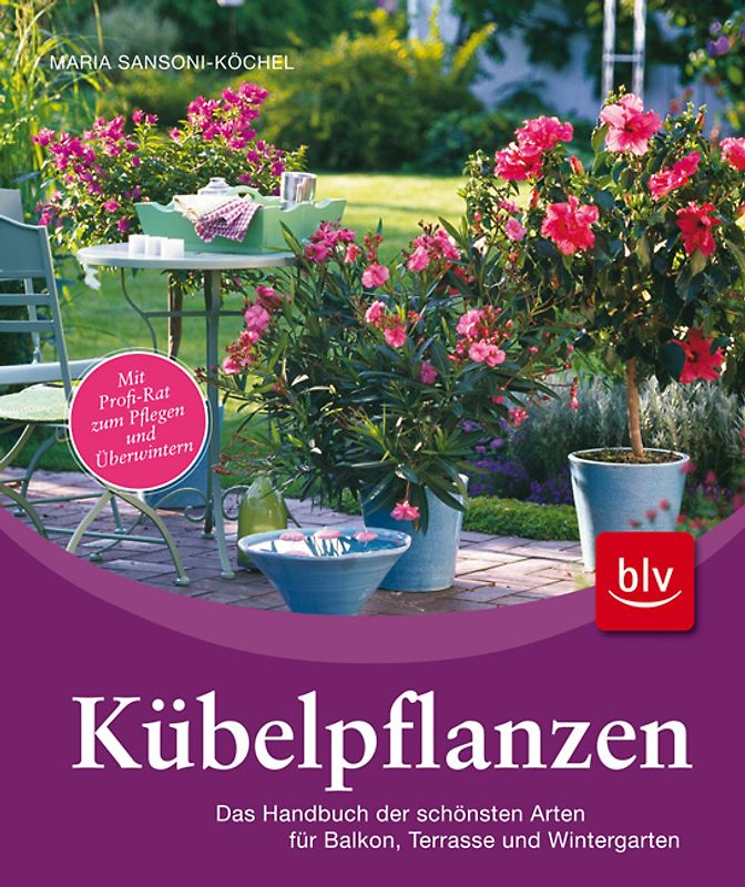 Kübelpflanzen