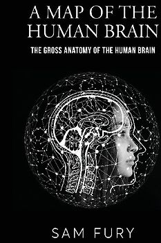 A Map of the Human Brain