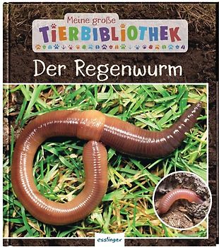 Meine große Tierbibliothek: Der Regenwurm