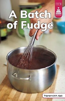 A Batch of Fudge