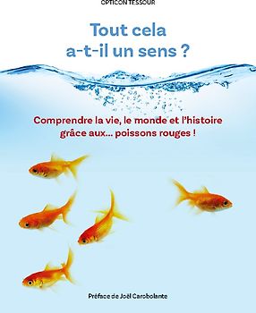 Tout cela a-t-il un sens ?