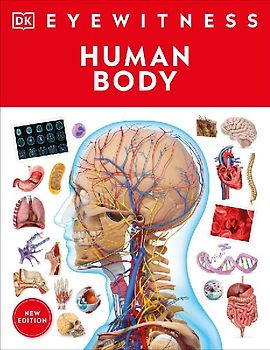 Eyewitness Human Body