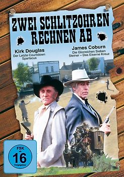 Zwei Schlitzohren Rechnen Ab DVD