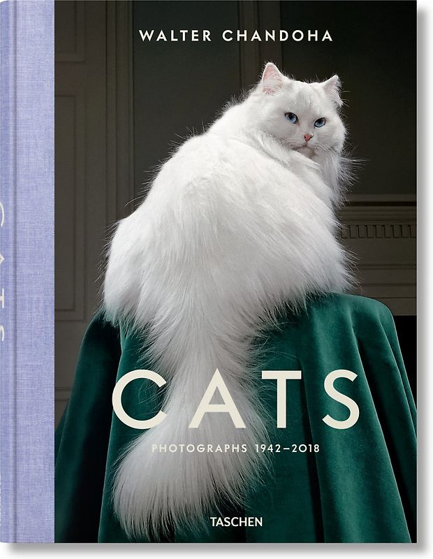 Walter Chandoha. Cats. Photographs 1942–2018