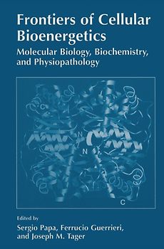 Frontiers of Cellular Bioenergetics