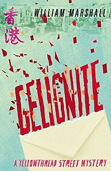 Gelignite (Yellowthread Street Mystery, Band 3)