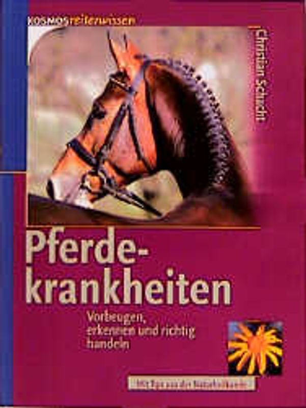 Pferdekrankheiten