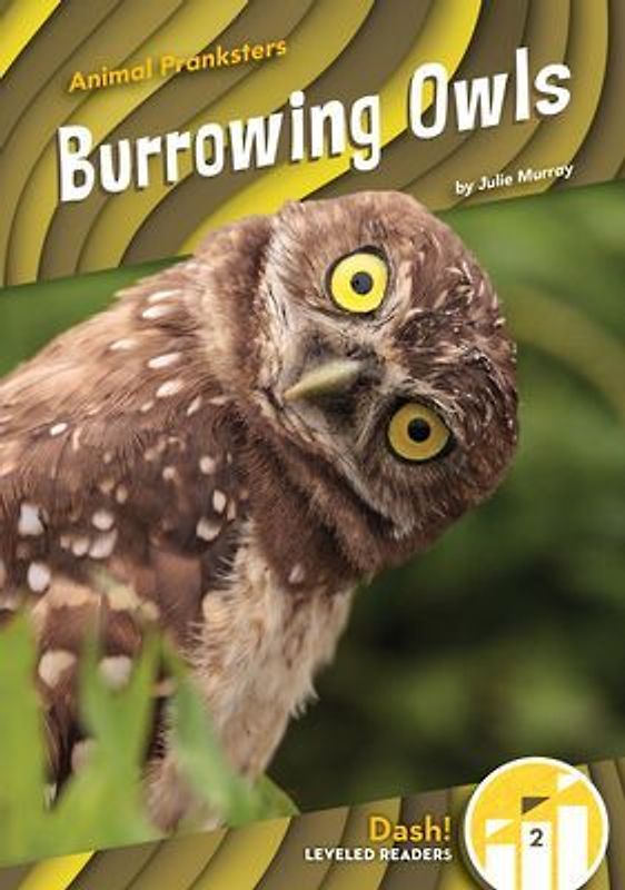 Burrowing Owls
