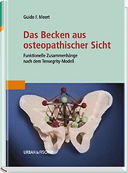 Das Becken aus osteopathischer Sicht