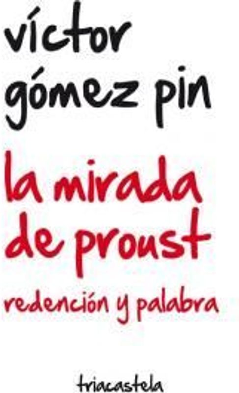 La mirada de Proust : redención y palabra