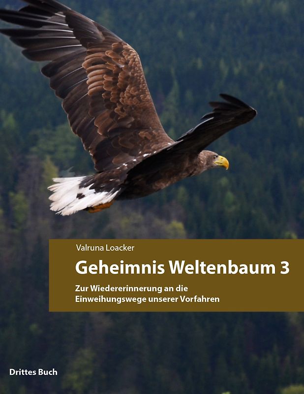 Geheimnis Weltenbaum
