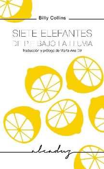 Siete elefantes de pie bajo la lluvia