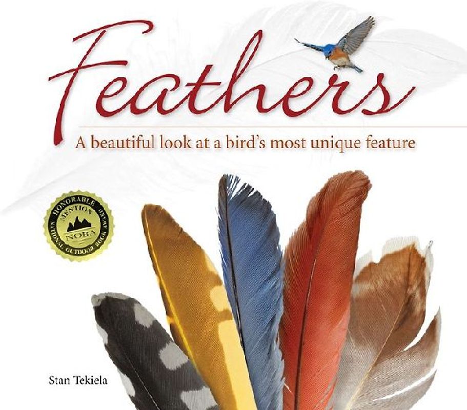 Feathers