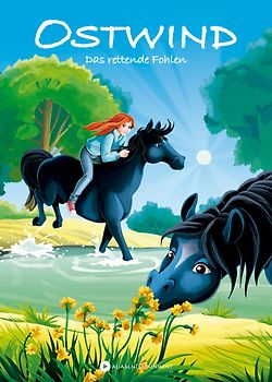 Ostwind – Das rettende Fohlen