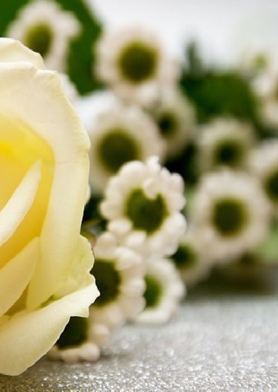 Hochzeitsbuch / Gästebuch