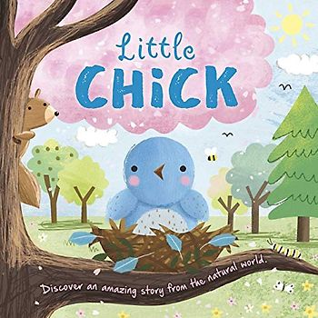 Little Chick: Padded Board Book