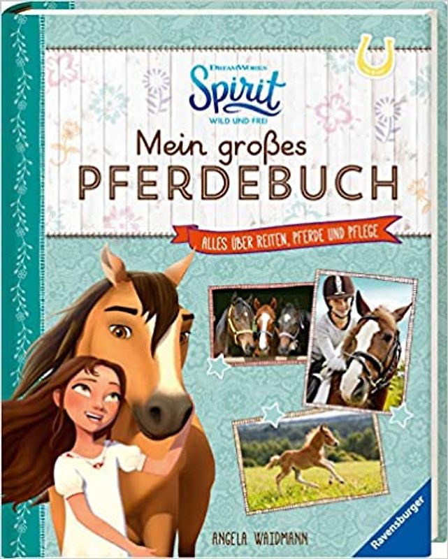 Dreamworks Spirit Wild und Frei: Mein großes Pferdebuch