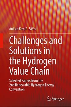 Challenges and Solutions in the Hydrogen Value Chain