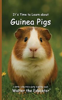 It's Time to Learn about Guinea Pigs