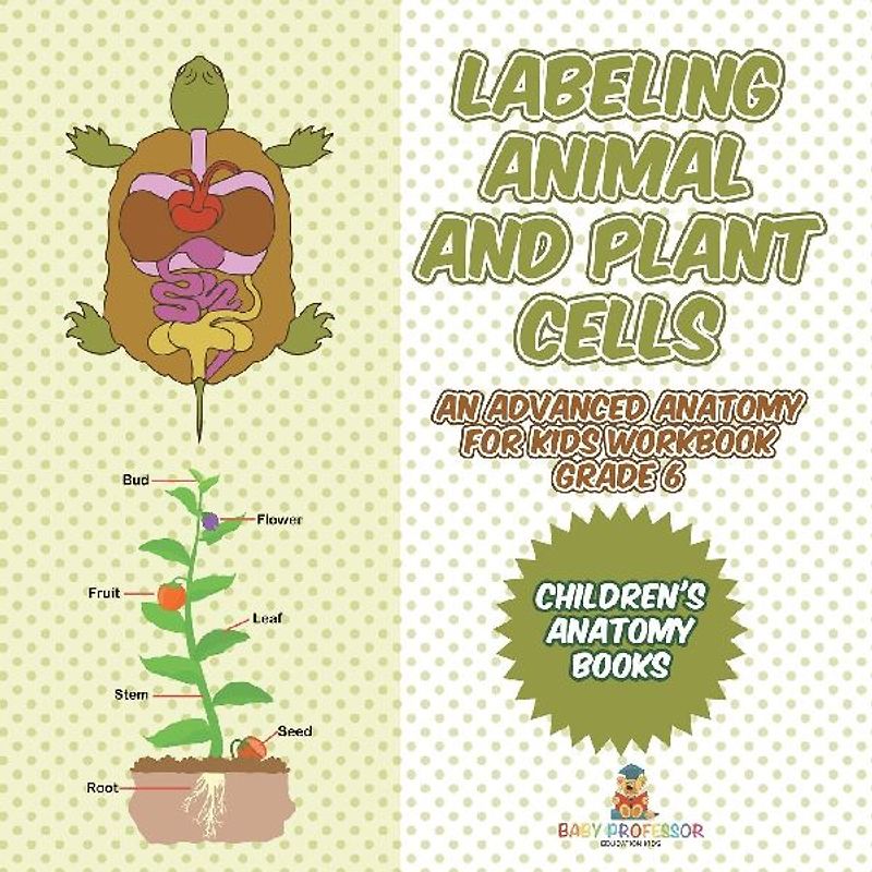 Labeling Animal and Plant Cells - An Advanced Anatomy for Kids Workbook Grade 6 | Children's Anatomy Books