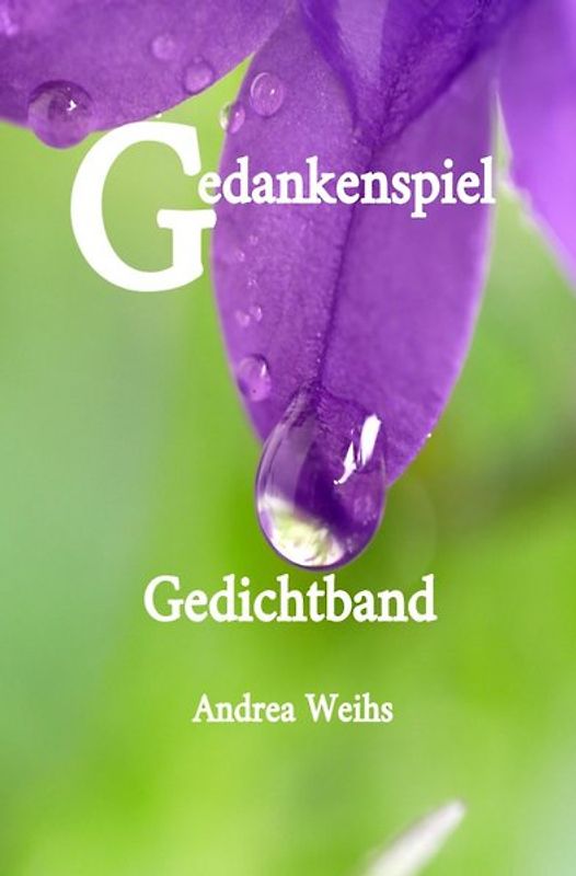 Gedankenspiel Gedichtband