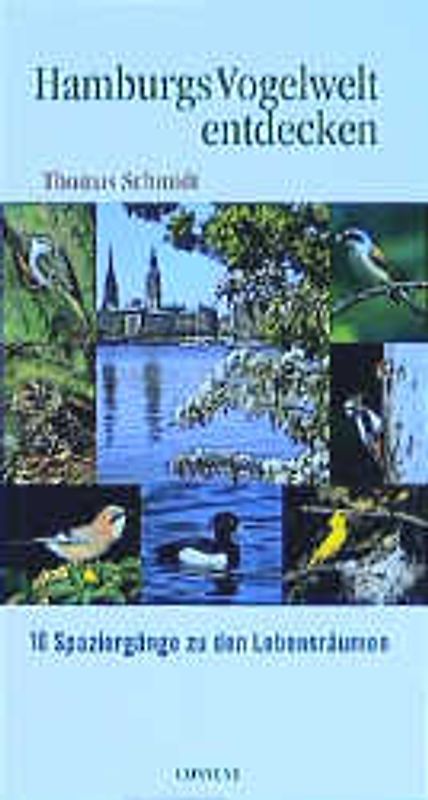 Hamburgs Vogelwelt entdecken