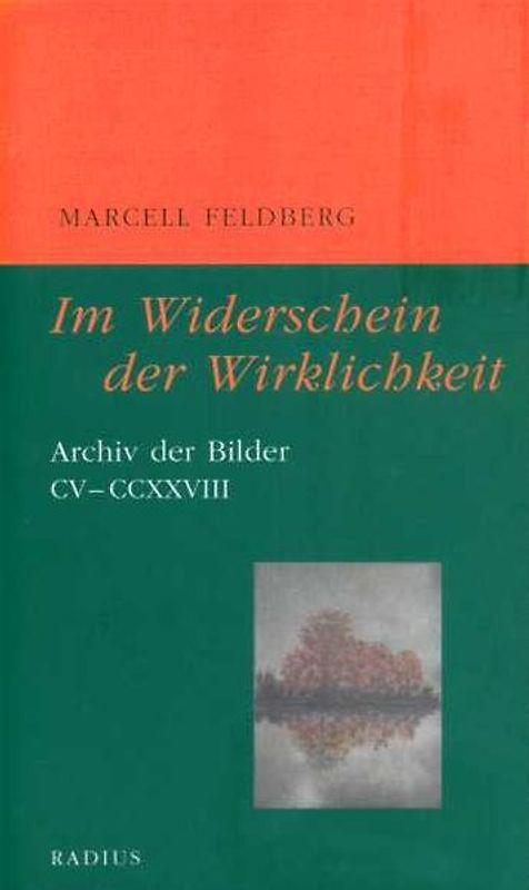 Im Widerschein der Wirklichkeit