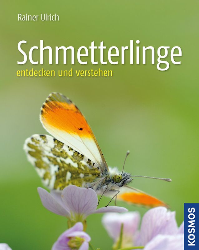Schmetterlinge