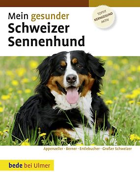 Mein gesunder Schweizer Sennenhund
