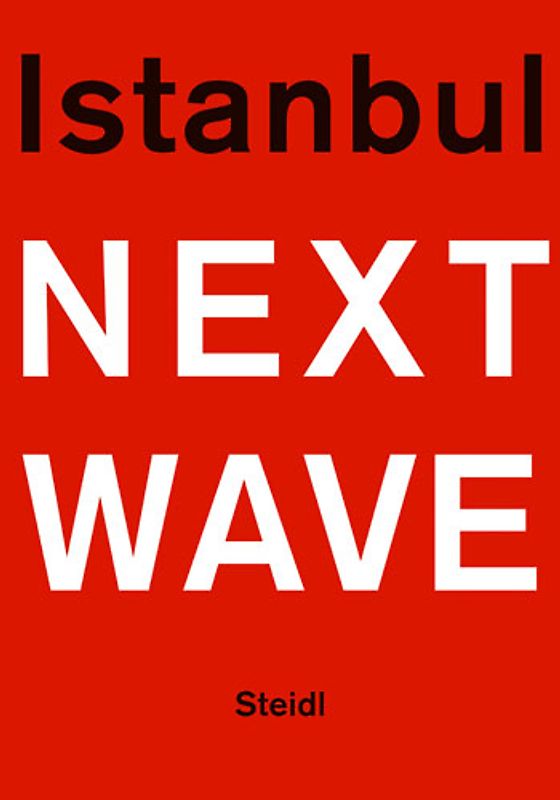 Istanbul Next Wave. Gleichzeitigkeit - Parallelen - Gegensätze. Moderne und zeitgenössische Kunst aus Istanbul