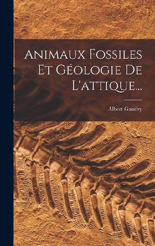 Animaux Fossiles Et Géologie De L'attique...