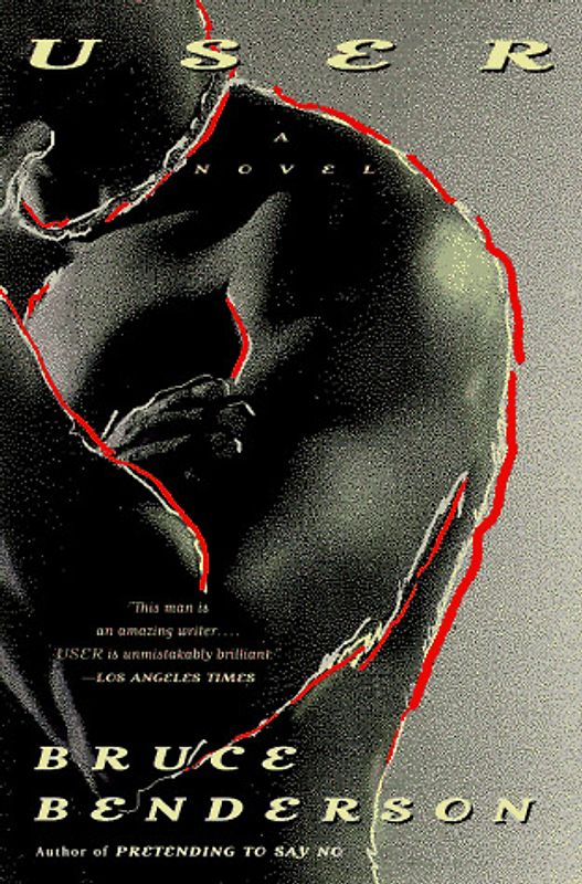 User: A Novel (Plume Books)