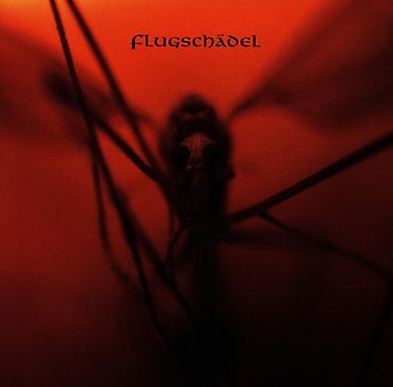 Flugschädel - Flugschädel