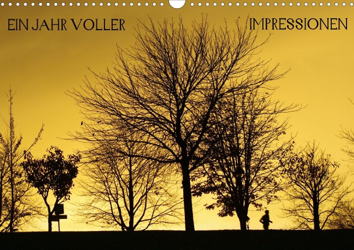 Ein Jahr voller Impressionen (Posterbuch DIN A4 quer)