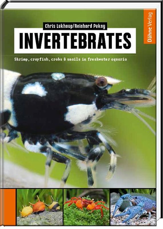 Invertebrates