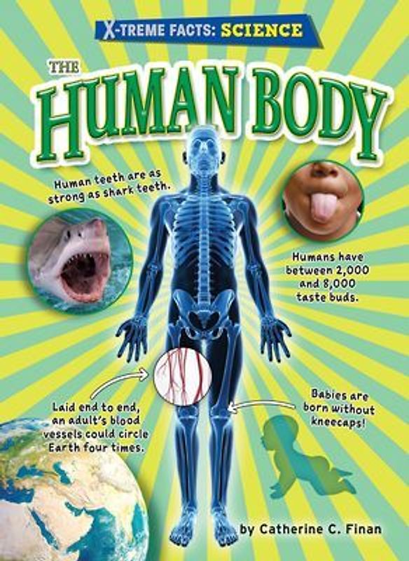 The Human Body