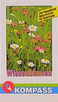 Wiesenblumen