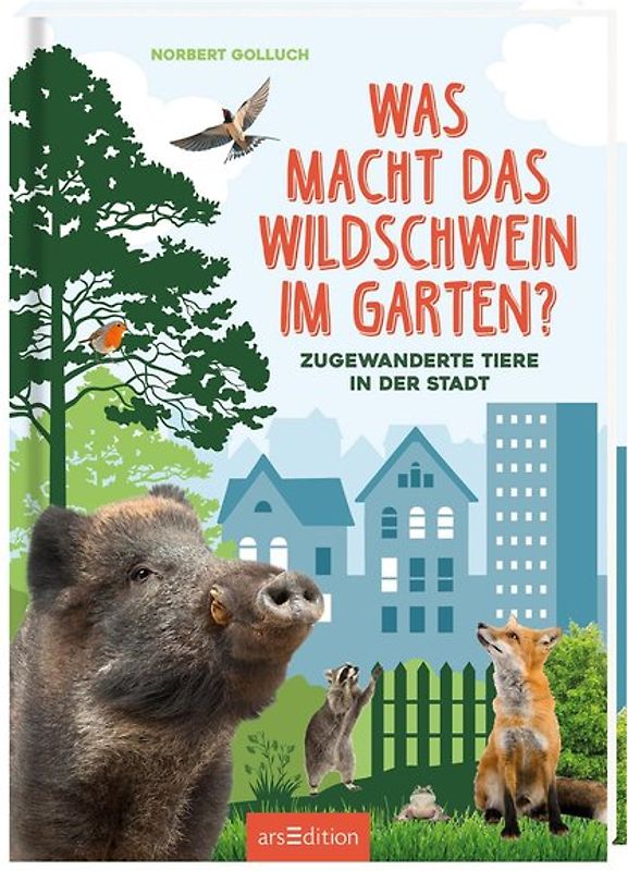 Was macht das Wildschwein im Garten?