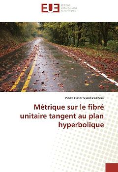 Métrique sur le fibré unitaire tangent au plan hyperbolique