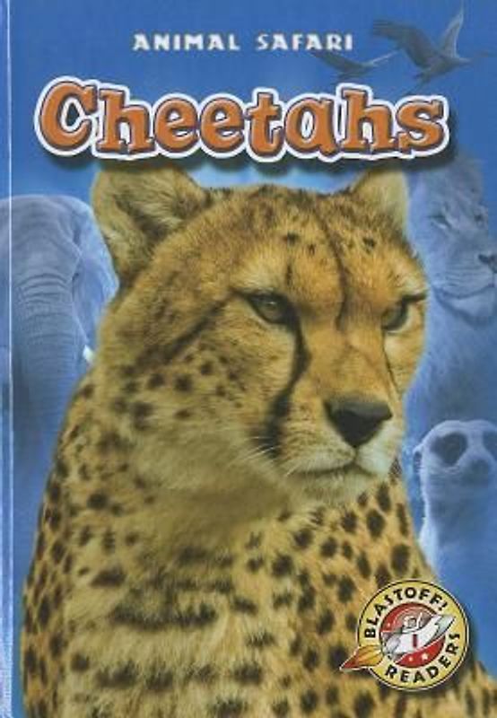 Cheetahs