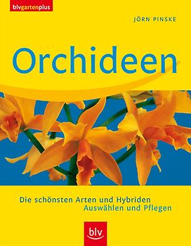 Orchideen