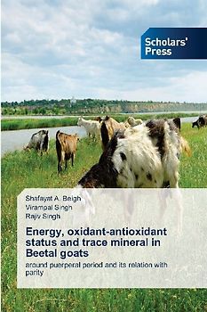 Energy, oxidant-antioxidant status and trace mineral in Beetal goats