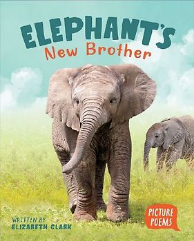 Elephant's New Brother