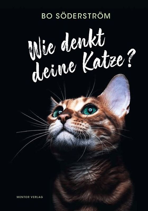 Wie denkt deine Katze?
