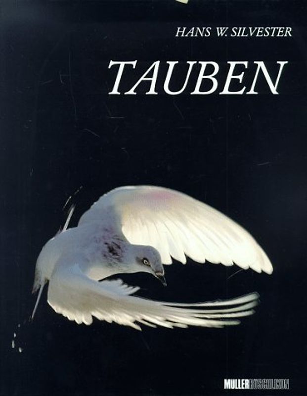 Tauben