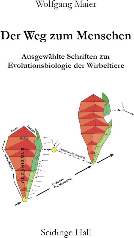 Der Weg zum Menschen